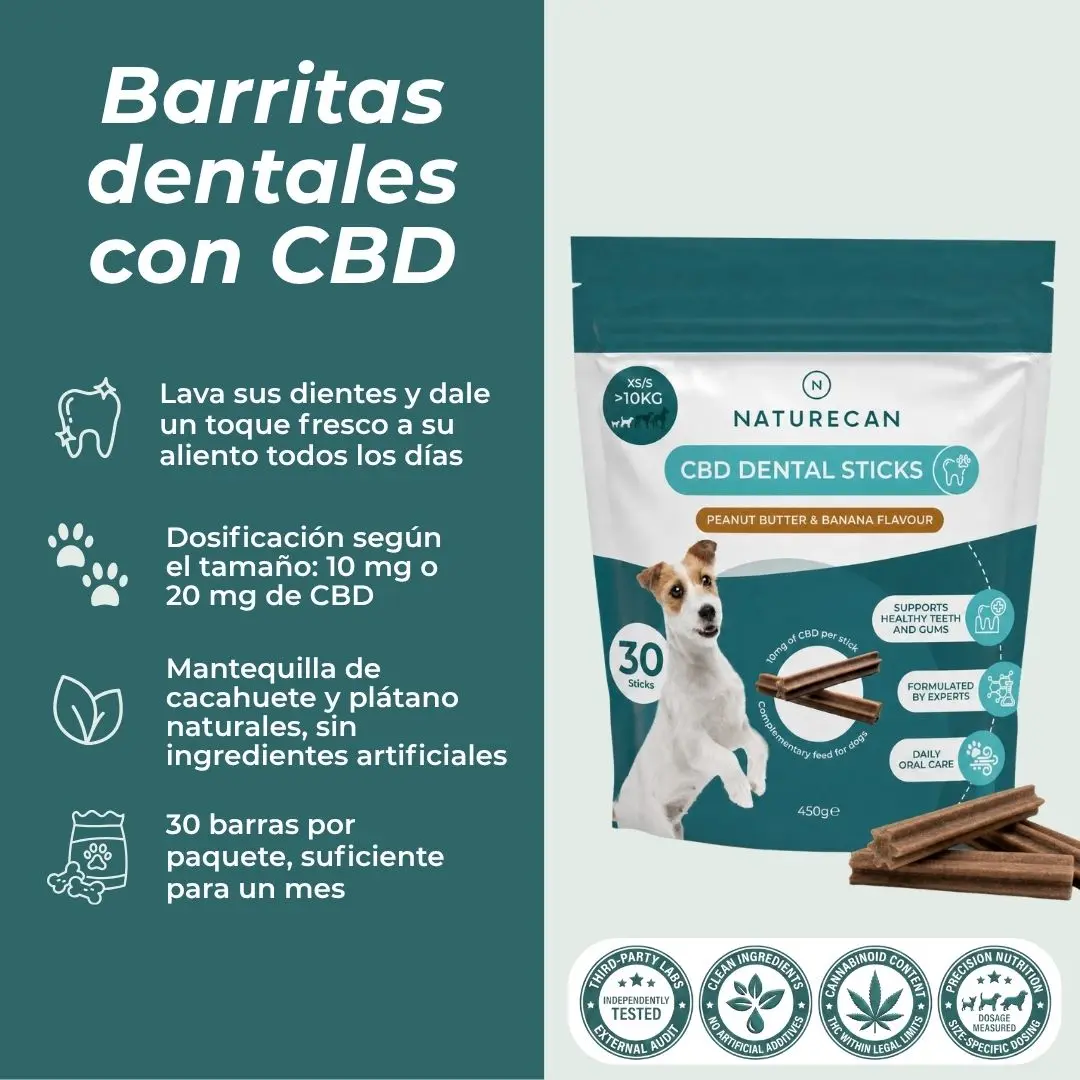 Barritas dentales con CBD para perros - Image 3