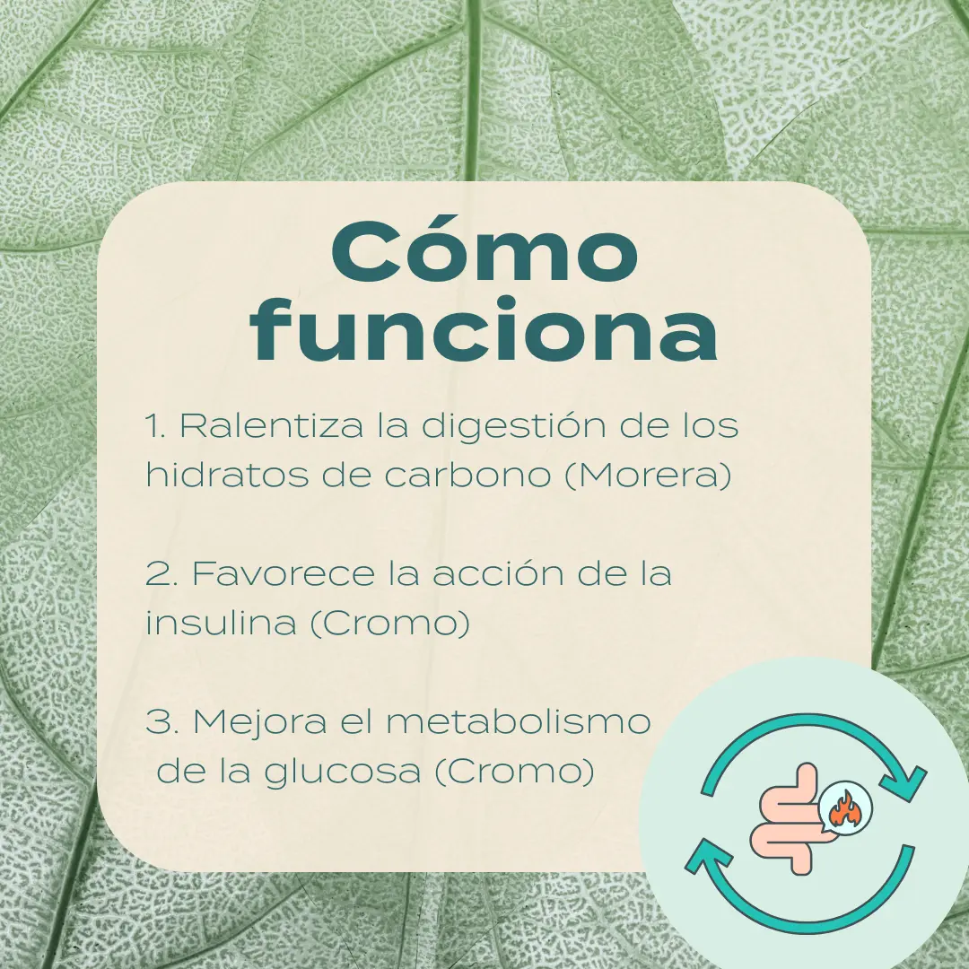 Cápsulas de apoyo a la glucosa - Reducose - Image 5