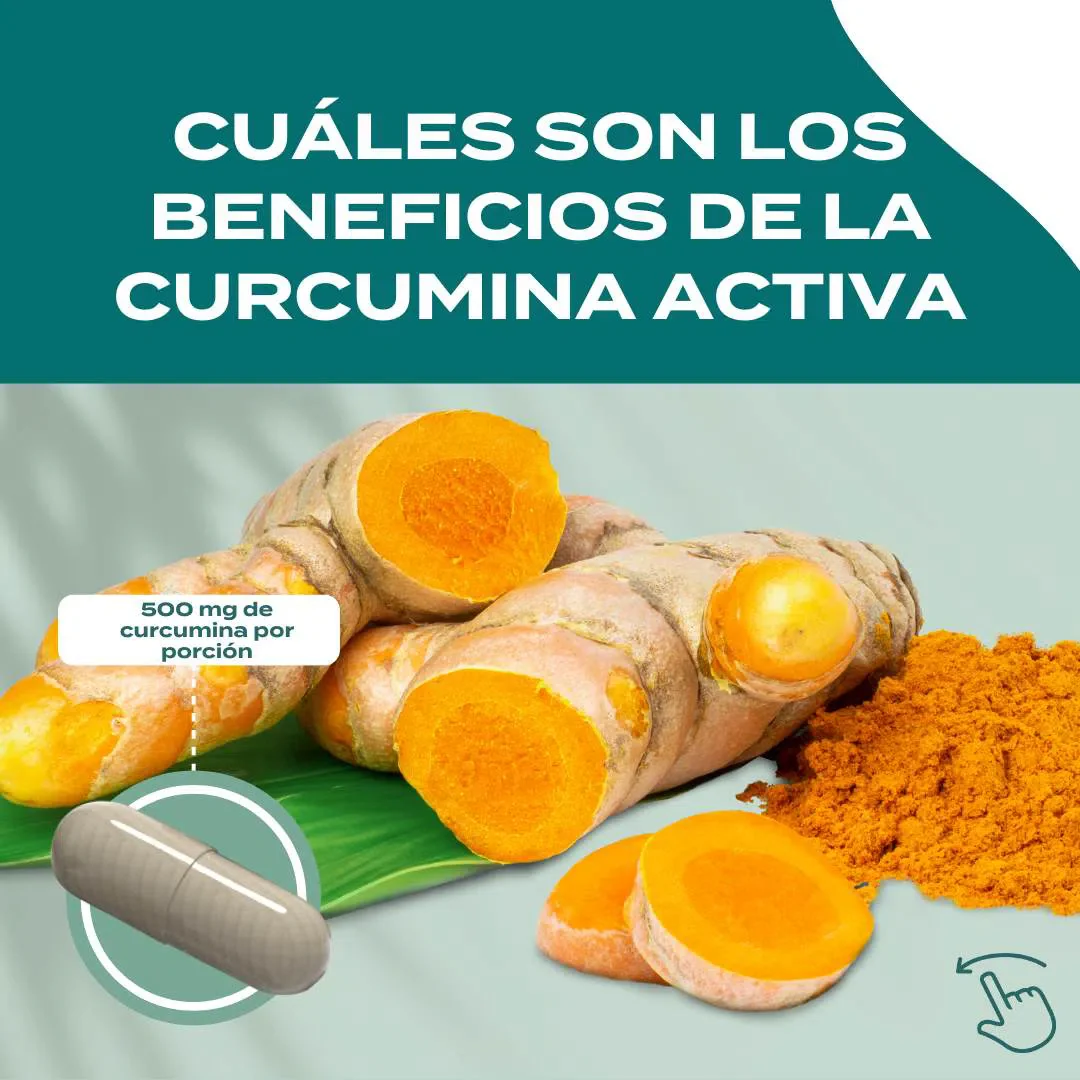 Curcumina Activa - Image 3