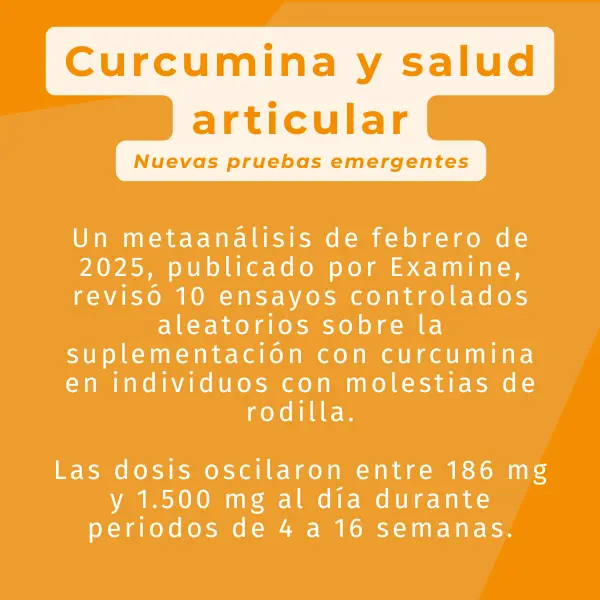 Curcumina Activa - Image 8