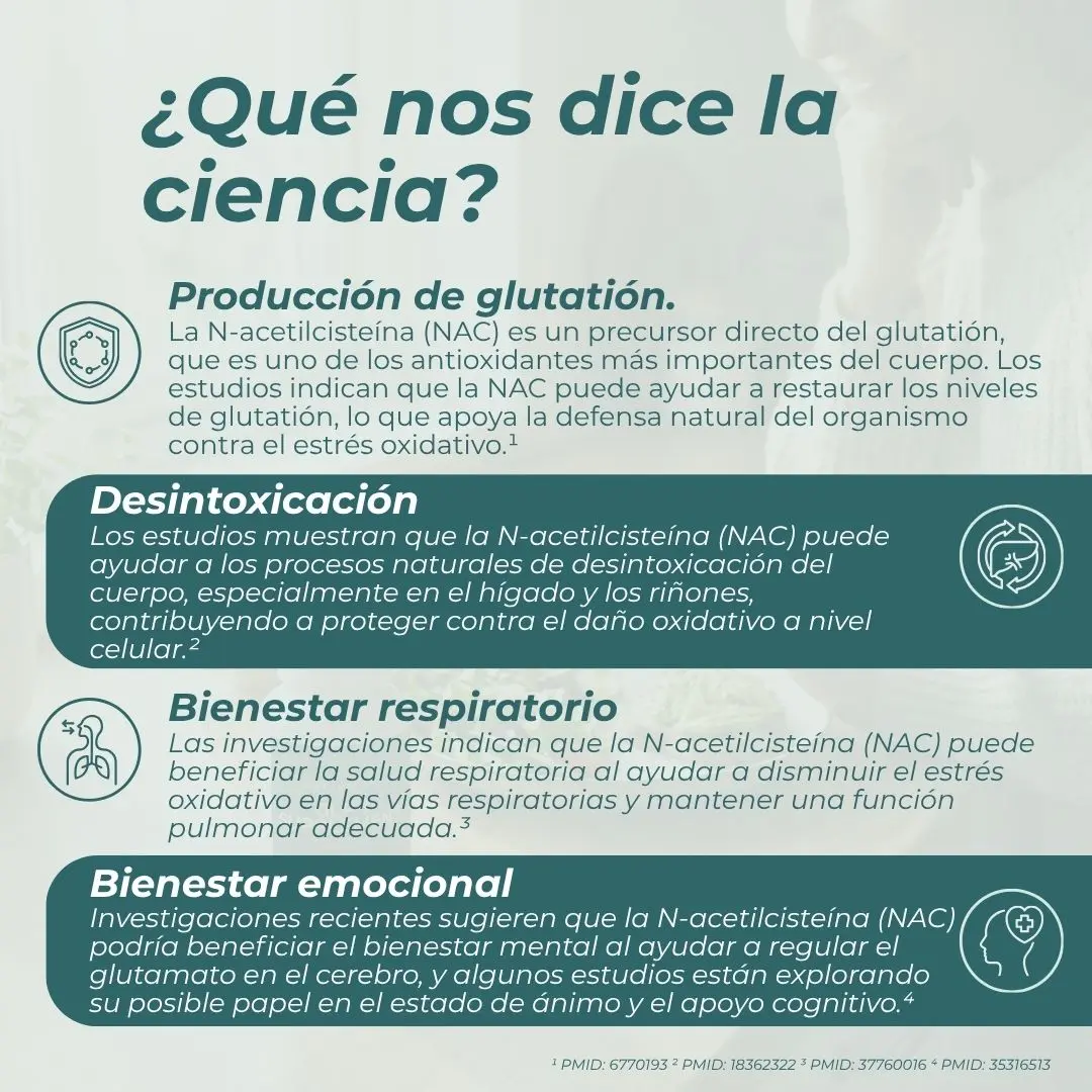 NAC Cápsulas - Image 3