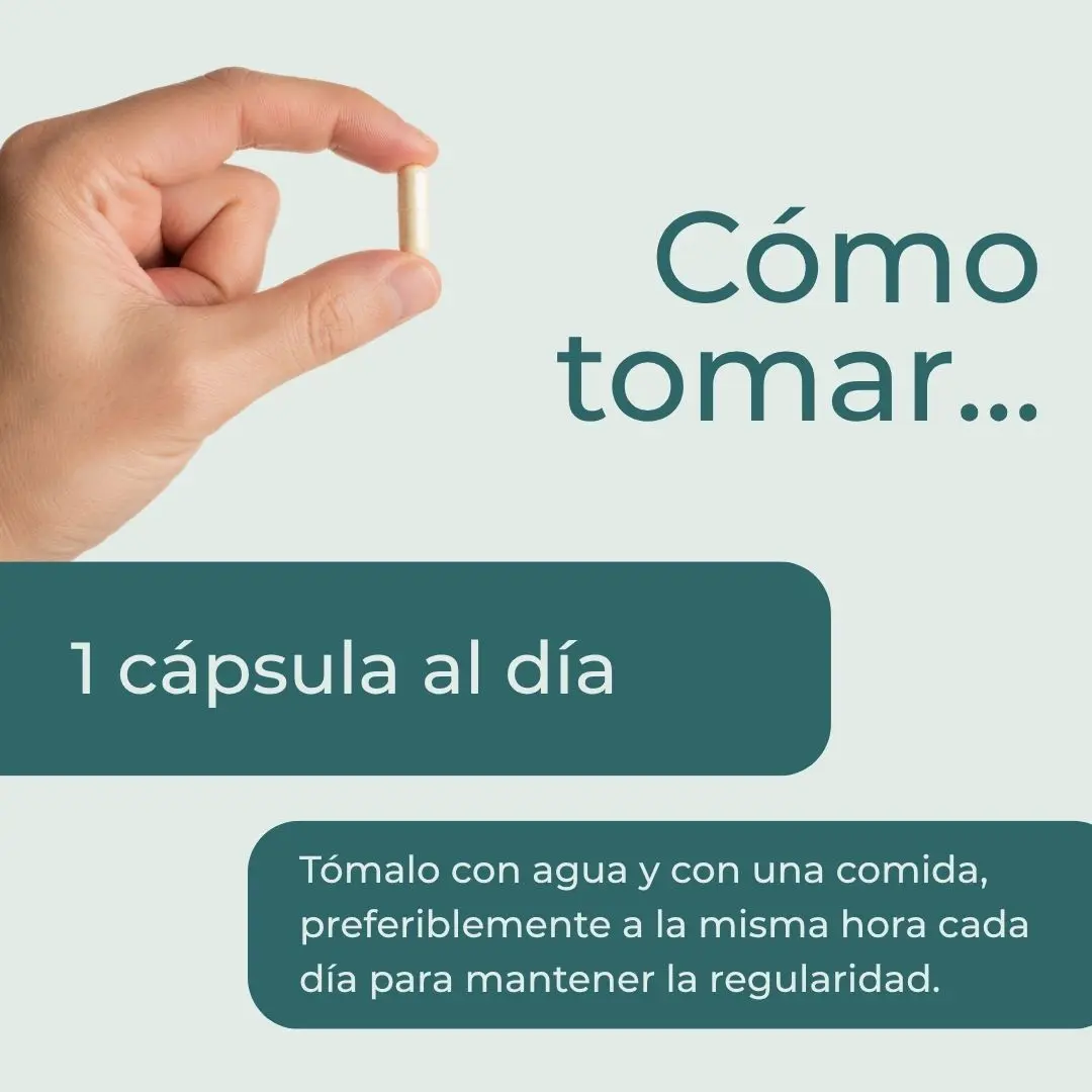 NAC Cápsulas - Image 4