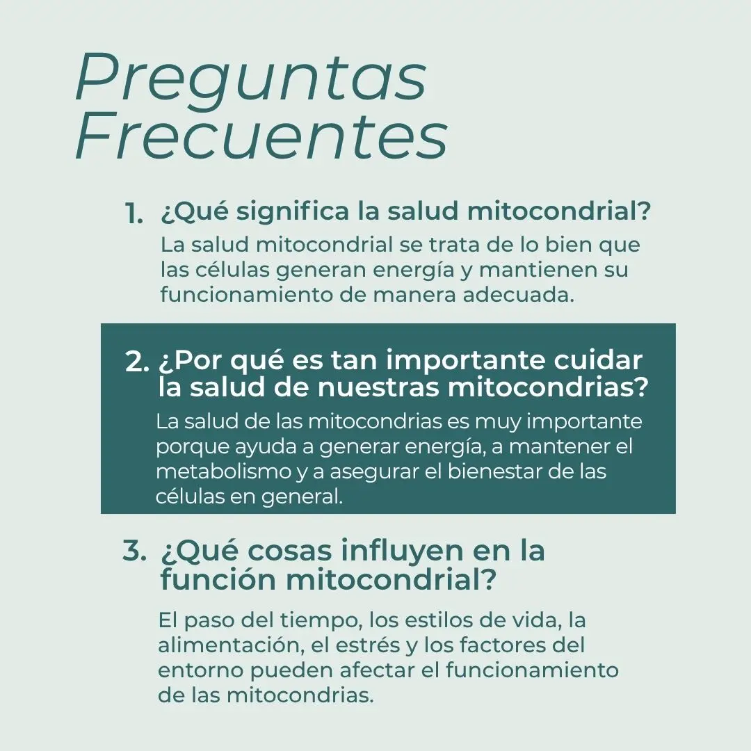Pack Salud Mitocondrial - Image 7