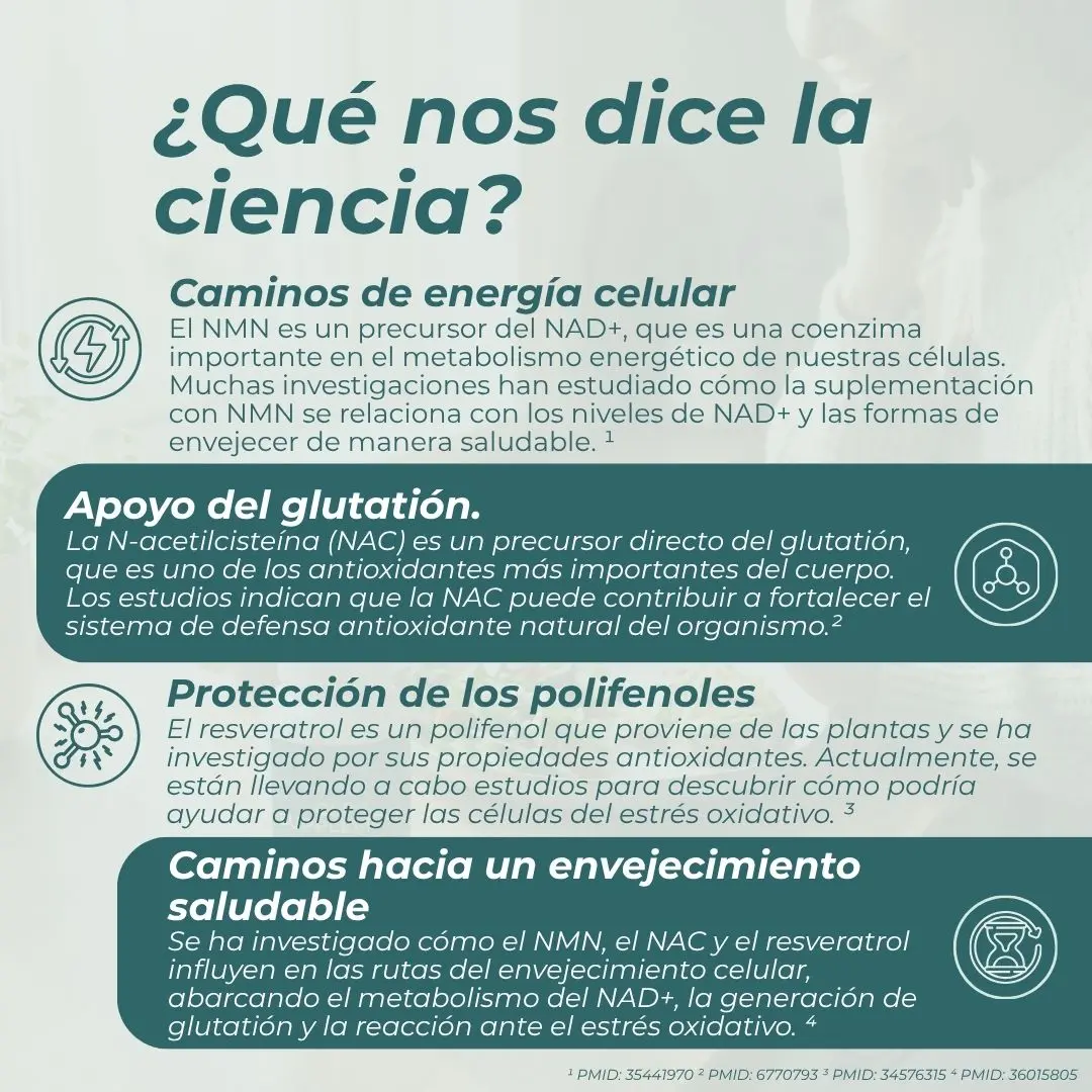 Pack anti-envejecimiento - Image 8